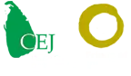 eJustice